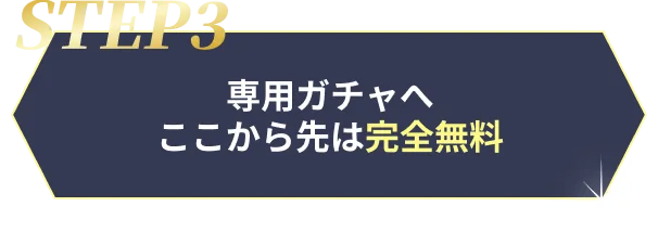 STEP3